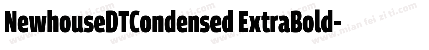 NewhouseDTCondensed ExtraBold字体转换